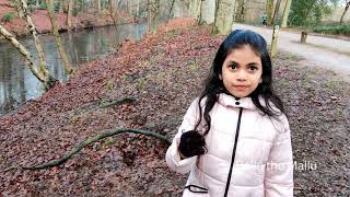 Frozen canals#youtubeshorts