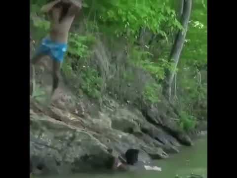 Man elbows alligator to save his friends life