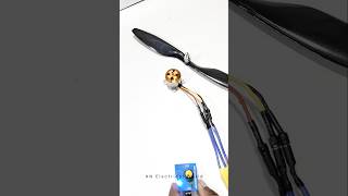 Brushless Dc Motor With Propeller #bldcmotor #experiment #electricalprojects