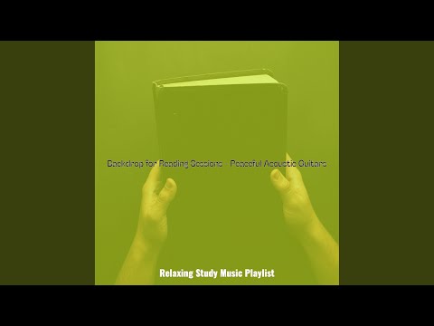 Refined Guitar Solos - Vibe for Peacfully Studying