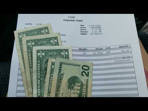Cash for Aluminum, pays to recycle, Patricia playing with baby Shetland pony