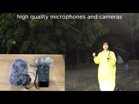 In the Heart of the Rain: Our Field Setup, Gear & Real-Time Sound Capture | Sleepsounds