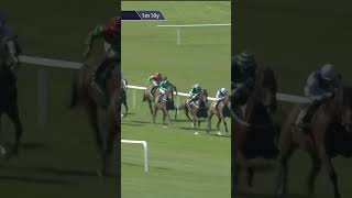 ZAHRANN - huge eyecatcher on debut in the Aga Khan silks!#horse #racingtv #sport #britishhorseracing