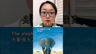 大和小#study languages with me #chinese learning center #language knowledge #language learning plan