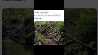 coding memes,Anyone can relate ,devoloper memes #bug #codinglife #codingbasics #funnyvideo