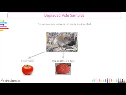 Generating High Quality Sequencing Data: A Focus on Sample Prep