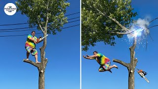 Idiots With Chainsaws: Tree Cutting Fails | Extreme Dangerous Logging Truck Fails #16
