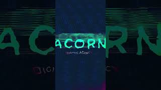 ACORN - Short glitch