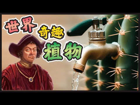 🌵世界上的奇趣植物，有的喜歡大魚大肉，有的會跳廣場舞，有的壽命高達幾千年！#腦洞罐頭廠 #危險#世界之最#世界十大#脑洞大开#冷知识#地球之最#奇趣植物#特別植物#霸王花#植物#捕蠅草#跳舞草#屍花