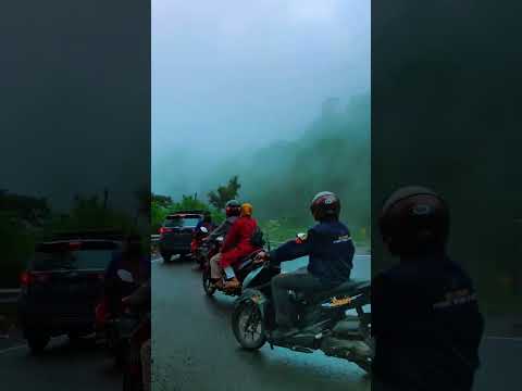 PUCUK SEMBALUN LOTIM