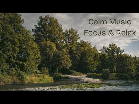 Calming Music to Relax the Mind | 2 Hours