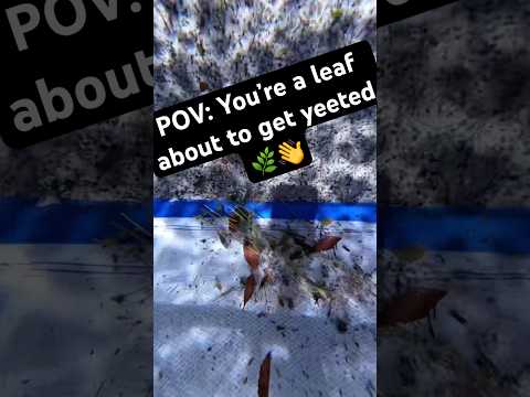 Underwater shots…Just me, my net, and my camera 🎥🍃💧 #poolcleaning #satisfying #poolguy #asmr #fyp