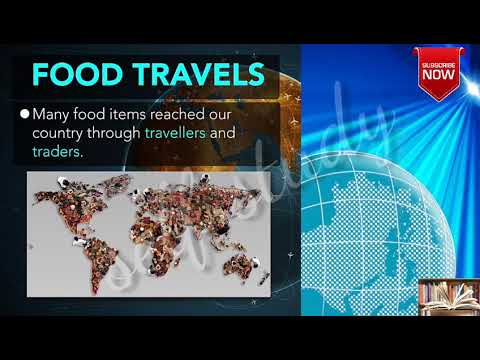 History: The Making of a Global World (Part 2)