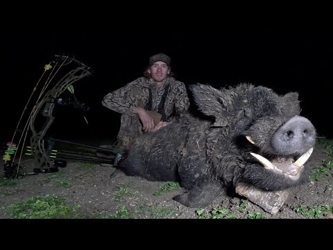 Big boar down!!! (Bow hunting Australia)