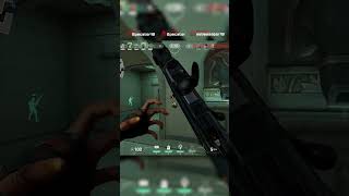 Duelist Raze ACE OP #valorant #valorantclips #valorantgaming #puravida #valorantoperatormontage
