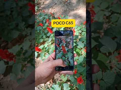 Poco C65 Camera Test #shorts