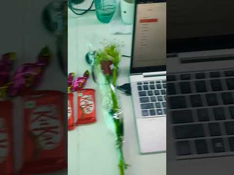 New year 🎊 gift from Office. Happy New Year 🎊 2024.