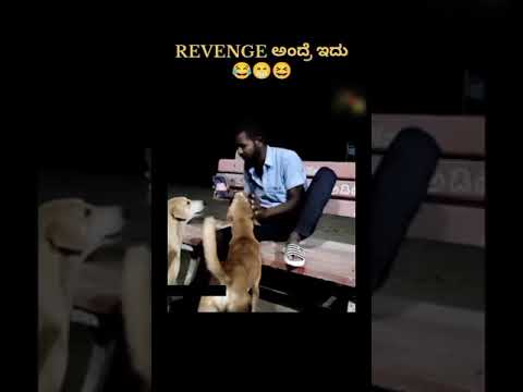 REVENGE ಅಂದ್ರೆ ಇದು   #subscribe  #like #comedy #funny #viral #instagram