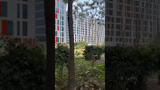 Bengaluru Silicon Valley Vibes