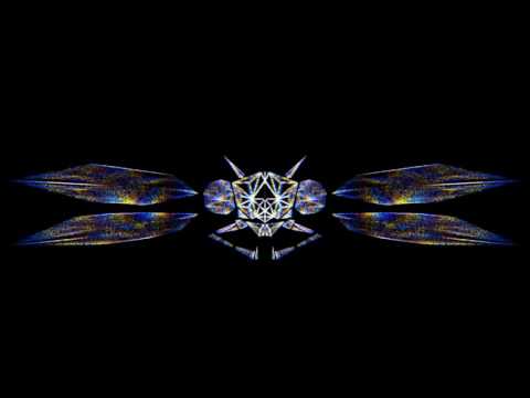 Euphoria 2017 Dragonfly Content