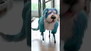 Boston Dynamics gives robot dog sparkly costume