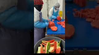 Amazing Watermelon cutting 😍😍🔥 #shorts #viralshorts #techhunt