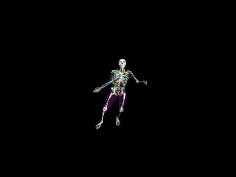 Biomechanical Human Simulation:  Happy Go Lucky Walk