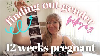 WE KNOW THE GENDER! NT scan, NIPT results | 12 week pregnancy update, 12 weeks pregnant