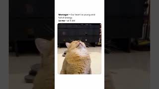 😂😂😂 #shorts #developer #tech #ai