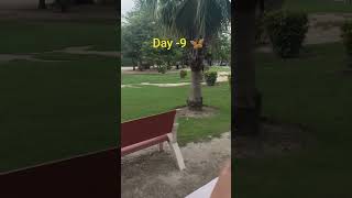 GALGOTIA COLLEGE || MBA STUDENT GCET|| #galgotiasstudent #campus #gcet #mbastudent #adayinmylife