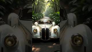 Luxury Car EXPERT Reveals Jungle Driving Secrets