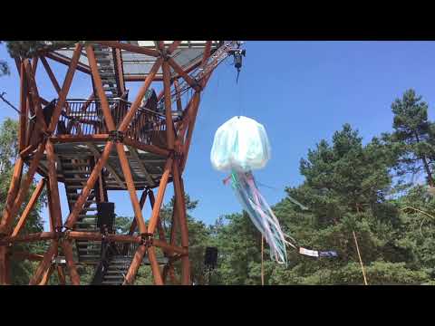 Jellyfish Tree