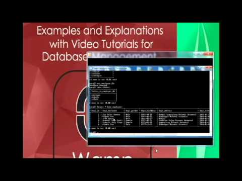 SRCB BSIT DBMS2: SQL WILD