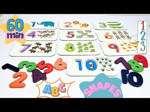 1 Hour of Fun Learning for Kids | ABC, Numbers, Colors & Shapes | ZayNa's Playhouse