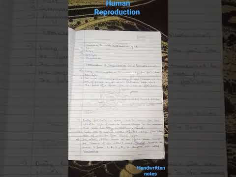 HUMAN REPRODUCTION|| CLASS 12 || BIOLOGY || ONE SHOT REVISION
