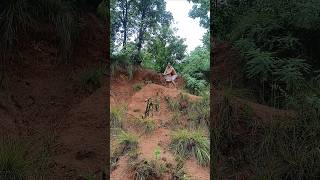 really chitta🐆 attack #wildlife #viralshorts #youtubeshortfeed #vfxshortvideo