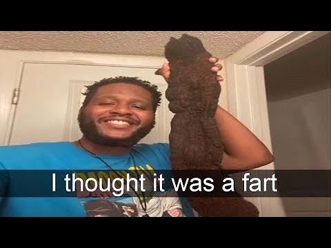 Unusual Memes Compilation v33