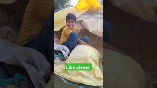 viral video #viralshort #eidmubarak #song #viralstatus