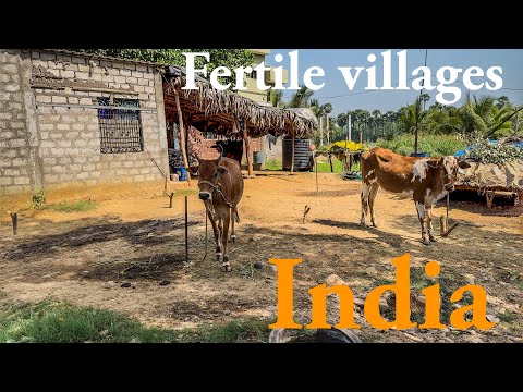 India’s Most Fertile Coastal Villages| Godavari River Island Boat Ride + ASMR beautiful village