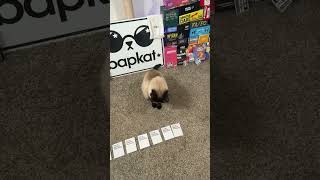 Cards Against Humanity
