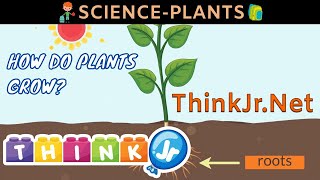 How do Plants grow 🌱| Science for Kids | ThinkJr Creations