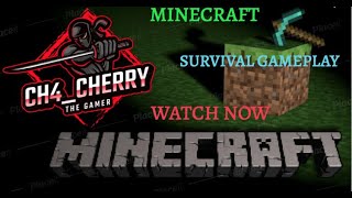 Minecraft Survival Gameplay Part 1............