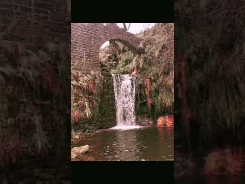 Cheeseden Lumb Mill #beginnersvlog #nature #2021