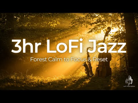 Need Quiet? 3H LoFi Jazz with Forest Calm to Focus & Reset