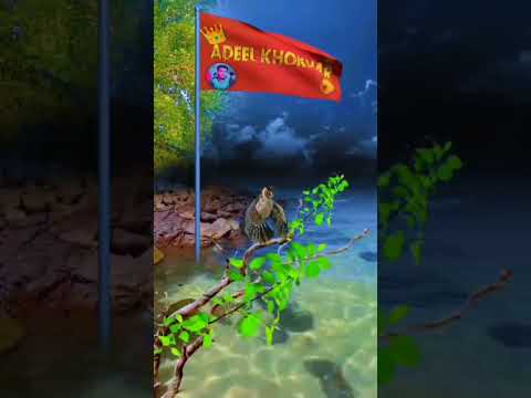 paid work shots #fypシ #instagram #reels #trendingshorts #ytshorts