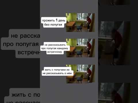 #птицы #милота #попугаи #корелла #cute