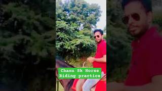 Chanu SK Horse Riding Practice-Best SAP Trainer-Online SAP Training #telugushorts#telugureels