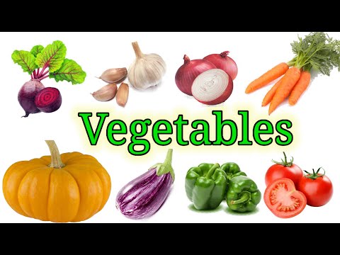 Names of Vegetables - Vegetable - Vegetable in English - @Fun N Learn Preschool