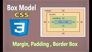 box model css margin padding border