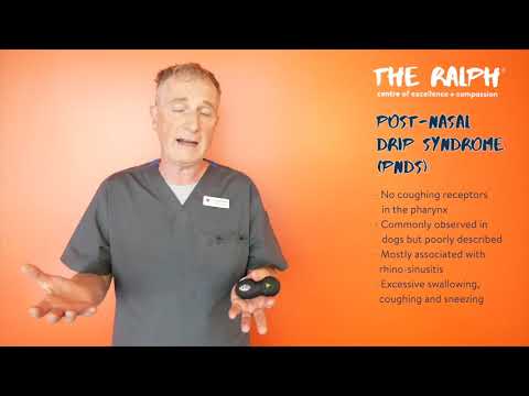 CPD In a Nutshell- Myths and legends of the coughing dog, by Luca Ferasin